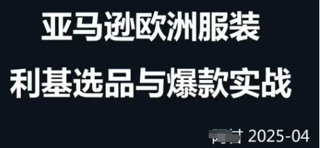 跨境电商选品案例24-25年，聚焦跨境电商选品策略与运营优化，助力卖家挖掘蓝海市场-云阁资源网