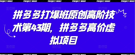 拼多多打爆班原创高阶技术第43期，拼多多高价虚拟项目-云阁资源网
