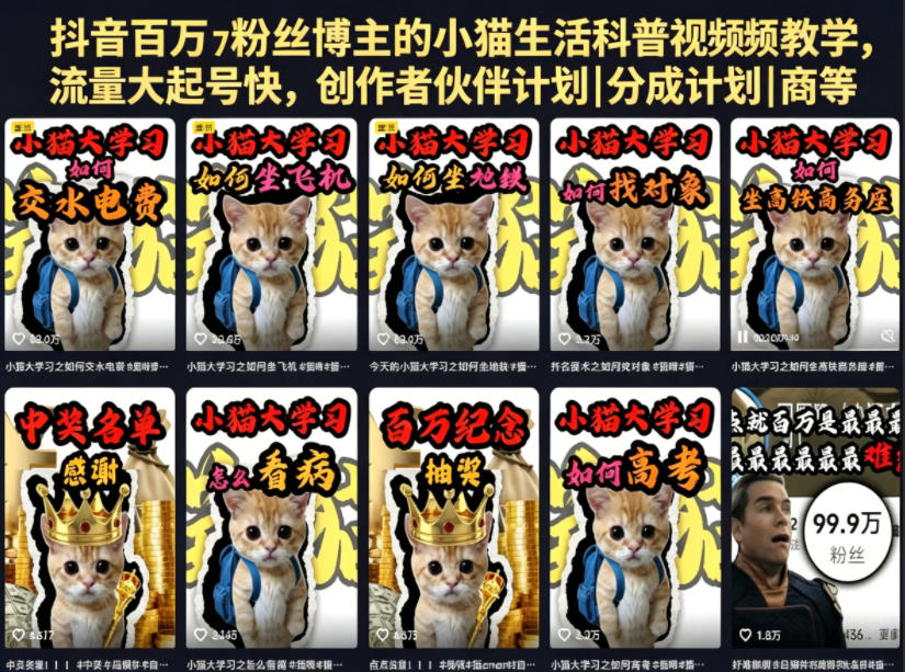 抖音百万粉丝博主的小猫生活科普视频教学，流量大起号快，创作者伙伴计划|分成计划|商单|收徒等-云阁资源网