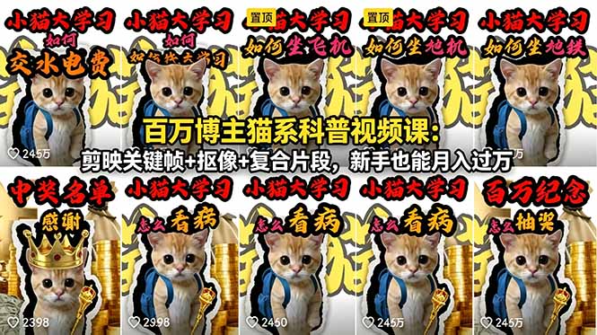 百万博主猫系科普视频课:剪映关键帧+抠像+复合片段,新手也能月入过万-云阁资源网