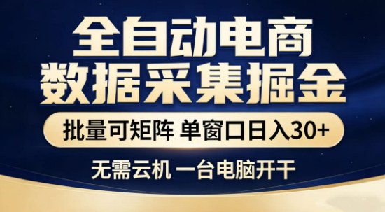 独家电商数据全自动采集项目，批量可矩阵，单窗口轻松日入3张+【揭秘】-云阁资源网