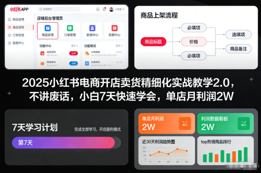 2025小红书电商开店卖货精细化实战教学2.0，不讲废话，小白7天快速学会，单店月利润2W-云阁资源网