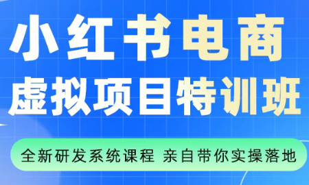 陆明明·小红书虚拟项目特训班(更新9月)-云阁资源网