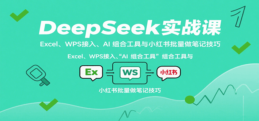 DeepSeek实战课：Excel、WPS接入、AI 组合工具与小红书批量做笔记技巧-云阁资源网