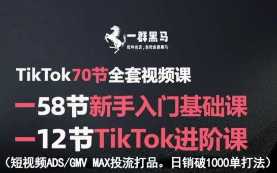 TikTok全套视频课，新手入门+进阶课，短视频ADS-GMV MAX投流打品，日销破1000单打法-云阁资源网
