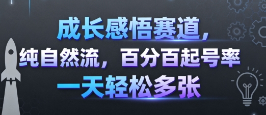成长感悟赛道，纯自然流，百分百起号率 一天轻松多张-云阁资源网