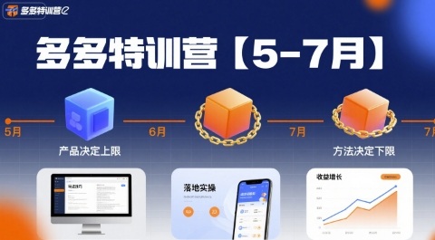多多特训营，产品决定上限，方法决定下限，各种玩法技巧落地实操(更新)-云阁资源网