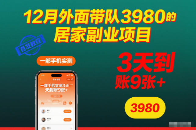 12月外面带队3980的居家副业项目,一部手机实测3天到账9张+,首发教程【揭秘】-云阁资源网