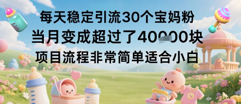 每天稳定引流30个宝妈粉当月变成超过了1W+项目流程非常简单适合小白-云阁资源网