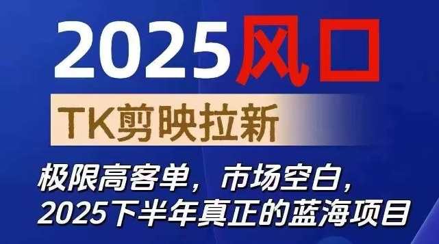 2025风口TK剪映capcut拉新项目,极限高客单,市场空白,2025下半年真正的蓝海项目-云阁资源网
