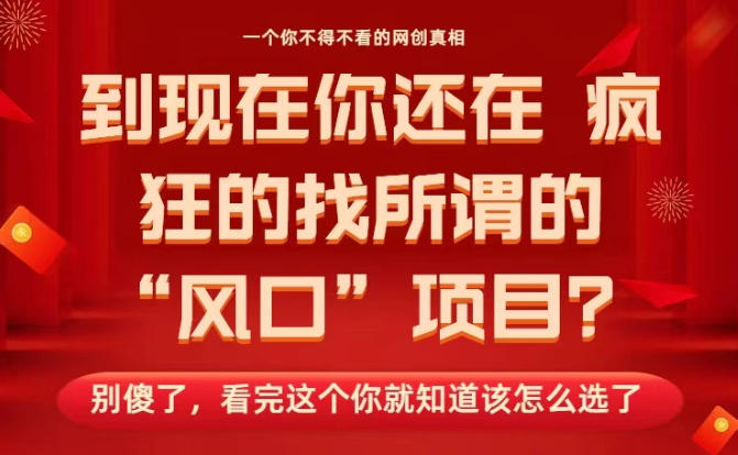 马上26年了，你还在找所谓的风口项目？别傻了，看完这个你全都懂了！【揭秘】-云阁资源网