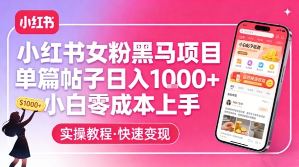 小红书女粉黑马项目，单篇帖子日入1k+，小白零成本上手-云阁资源网