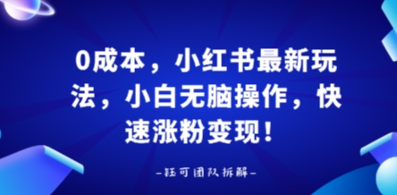 0成本，小红书最新玩法，小白无脑操作，快速涨粉变现-云阁资源网