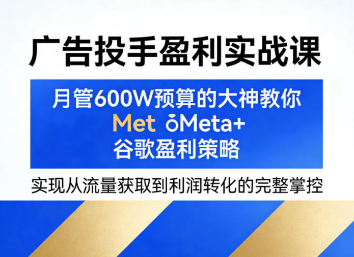 广告投手盈利实战课，月管600W预算的大神教你Meta+谷歌盈利策略，实现从流量获取到利润转化的完整掌控-云阁资源网