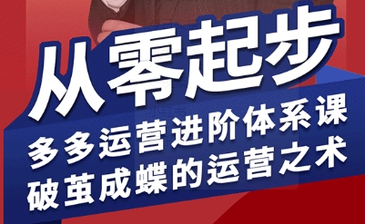 拼多多运营进阶系统课，从零起步，多多运营进阶体系课，破茧成蝶的运营之术(更新9月)-云阁资源网