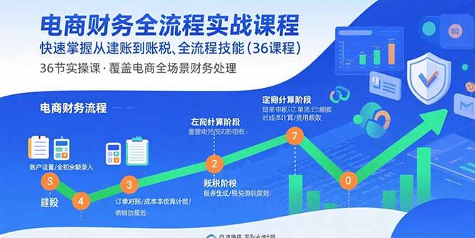 电商财务全流程实战课程：快速掌握从建账到报税的全流程技能(36节课-云阁资源网