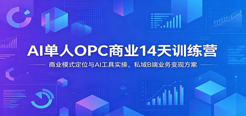 AI单人OPC商业14天训练营：商业模式定位与AI工具实操，私域B端业务变现方案-云阁资源网