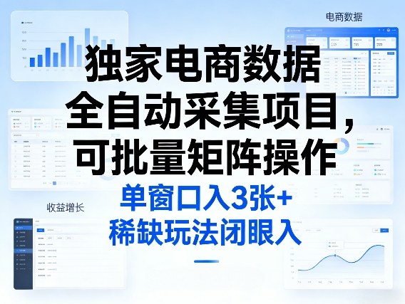 独家电商数据全自动采集项目，可批量矩阵操作，单窗口日入3张+，稀缺玩法闭眼入【揭秘】-云阁资源网