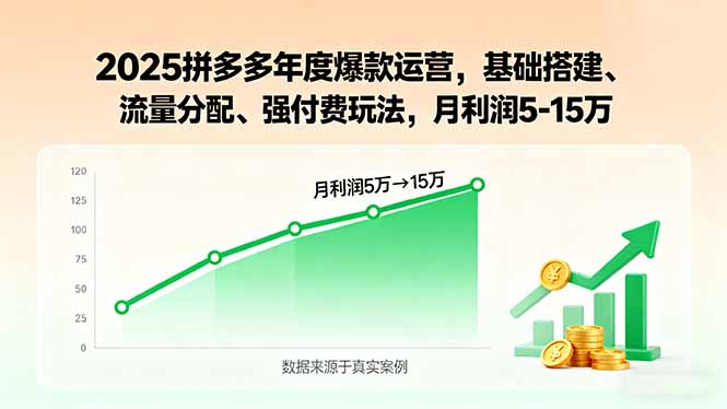 2025拼多多年度爆款运营，基础搭建、流量分配、强付费玩法，月利润5-15万-云阁资源网