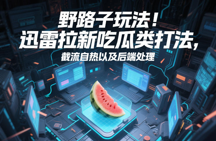 野路子玩法!迅雷拉新吃瓜类打法,截流自热以及后端处理-云阁资源网