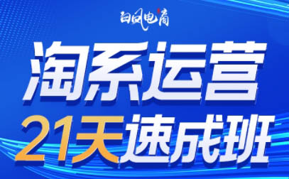 白凤电商·淘系运营21天速成班(更新8月)-云阁资源网