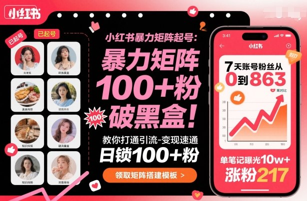小红书暴力矩阵起号，教你打通引流-变现速通，日锁100+粉，破流量黑盒-云阁资源网