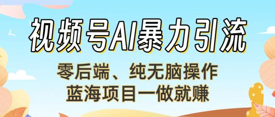 视频号AI暴力引流：零后端、纯无脑操作，蓝海项目一做就赚！-云阁资源网
