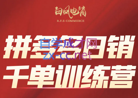 白凤电商·拼多多日销千单训练营(更新8月)-云阁资源网