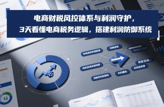 电商财税风控体系与利润守护，3天看懂电商税务逻辑，搭建利润防御系统-云阁资源网