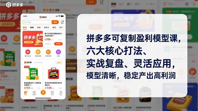 拼多多可复制盈利模型课，六大核心打法、实战复盘、灵活应用，模型清晰，稳定产出高利润-云阁资源网