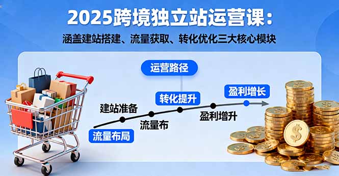 2025跨境独立站运营课：涵盖建站搭建、流量获取、转化优化三大核心模块-云阁资源网