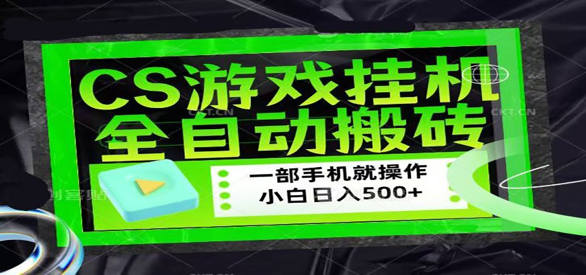 CSGO游戏挂机捡漏搬砖，超稳定的项目，带领1000+小白实现日入500+-云阁资源网