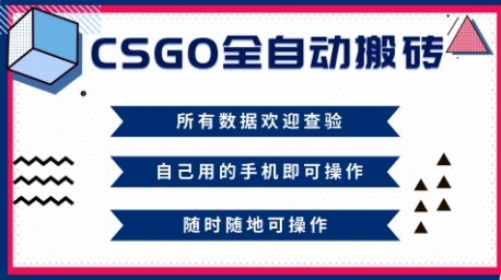 CSGO全自动搬砖,年底钱回家好项目,当天可拿到结果,新手小白轻松月入1W+【揭秘】-云阁资源网