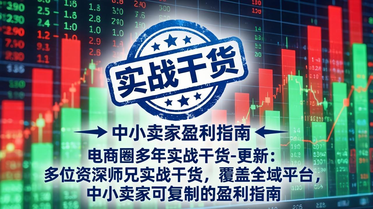 电商圈多年实战干货-更新5月10：多位资深师兄实战干货/覆盖全域平台，中小卖家可复制的盈利指南-云阁资源网