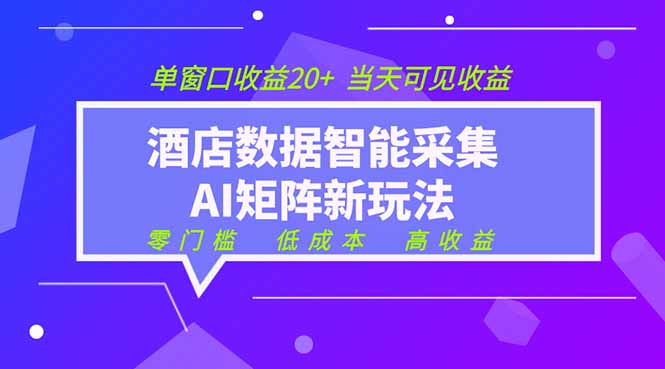 2026酒店数据采集ai智能矩阵新风口 低成本 高收益 当天见收益 单窗口20+-云阁资源网