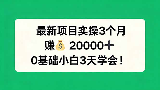 最新项目实操3个月，赚钱20000+，0基础小白3天学会！-云阁资源网