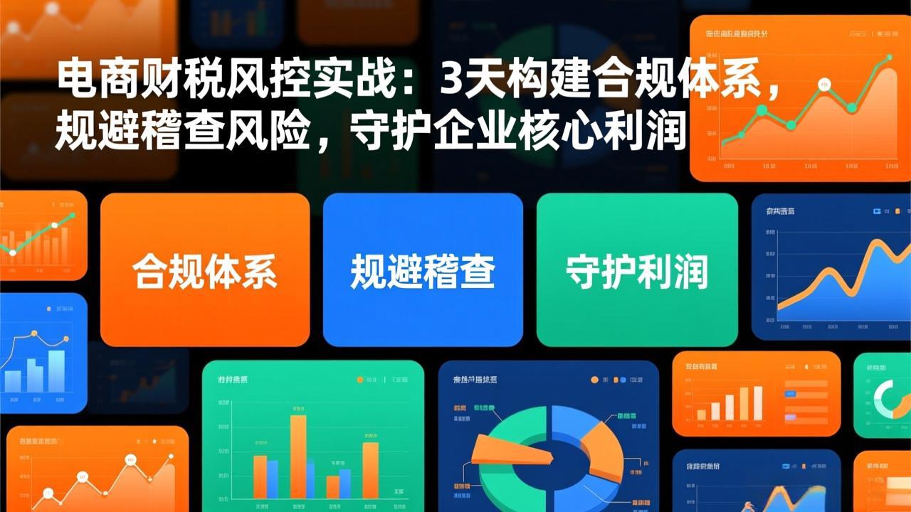 电商财税风控实战:3天构建合规体系,规避稽查风险,守护企业核心利润-云阁资源网