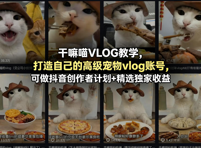 干嘛喵VLOG教学，打造自己的高级宠物vlog账号，可做抖音创作者计划+精选独家收益-云阁资源网