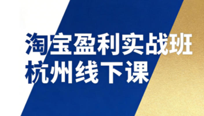 淘宝盈利实战班杭州线下课12月26-28日(音频+字幕)，帮你掌握SOP流程+12门核心技术-云阁资源网