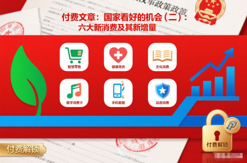 付费文章：国家看好的机会(二)：六大新消费及其新增量-云阁资源网