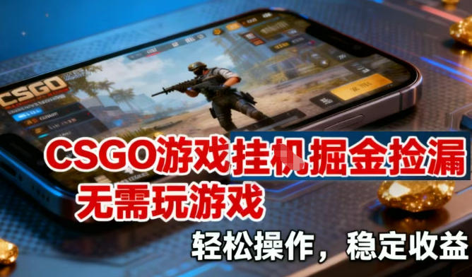 CSGO游戏挂G掘金捡漏，不需要玩游戏，操作简单，收益稳定【揭秘】-云阁资源网