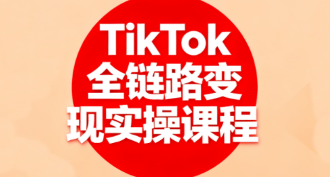 小杨老师·TikTok全链路变现实操课程-云阁资源网