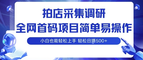 拍店采集调研，全网首码项目，简单易操作， 小白也能轻松上手，多账号操作，轻松日入5张【揭秘】-云阁资源网