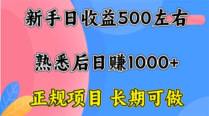 新手日收益500+ 正规项目 长期可做-云阁资源网
