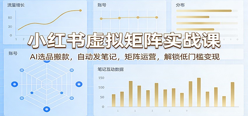 小红书虚拟矩阵实战课：AI选品搬款，自动发笔记，矩阵运营，解锁低门槛变现-云阁资源网