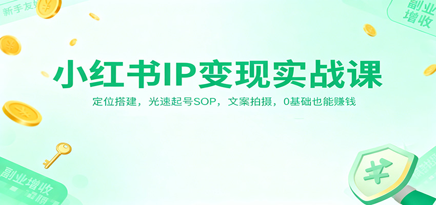 小红书IP变现实战课：定位搭建，光速起号SOP，文案拍摄，0基础也能赚钱-云阁资源网