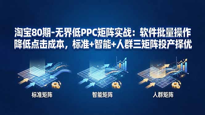 淘宝80期-无界低PPC矩阵实战：软件批量操作降低点击成本，标准+智能+人群三矩阵投产择优-云阁资源网
