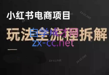 菲菲老师·小红书电商玩法(更新9月)-云阁资源网