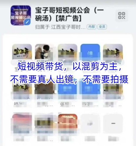 宝子哥头部团队短视频带货，以混剪为主，不需要真人出镜，不需要拍摄【更新9月】-云阁资源网