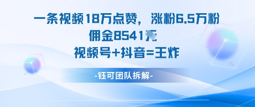 一条视频18W点赞，涨粉6.5W粉佣金8541米，视频号+抖音=王炸-云阁资源网